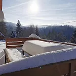Chalet W Gorach 