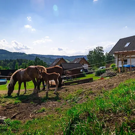 Do Wynajęcia Osadowe Wzgórze W Wiśle Domek alpejski