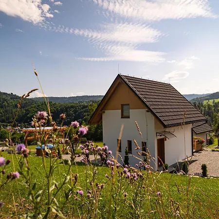 Domek alpejski Do Wynajęcia Osadowe Wzgórze W Wiśle *